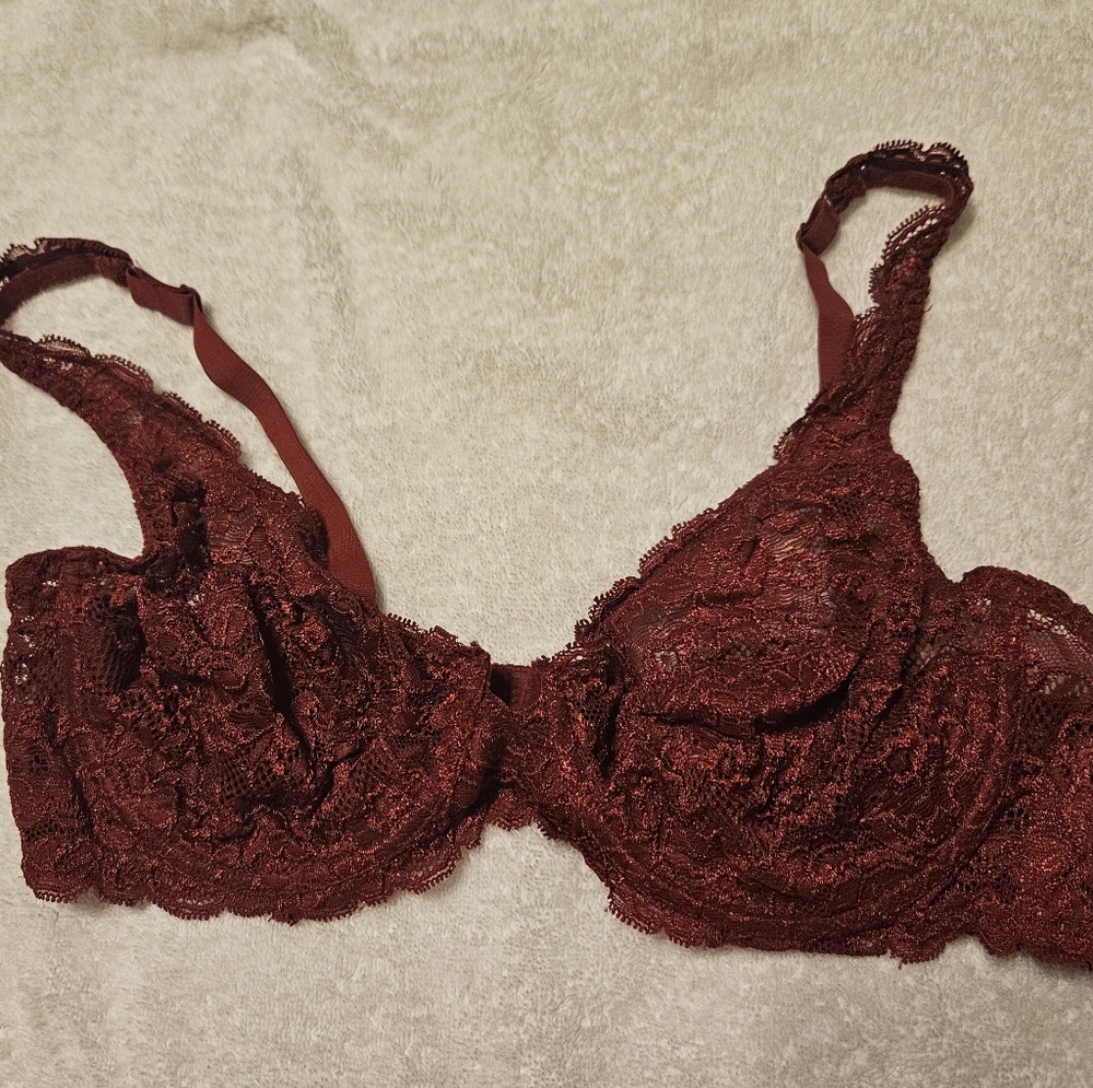 Ralph Lauren Elegant Lace Bra in Rich Burgundy New 38C